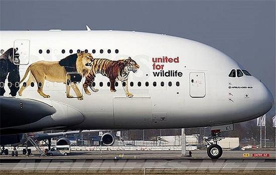 阿联酋航空