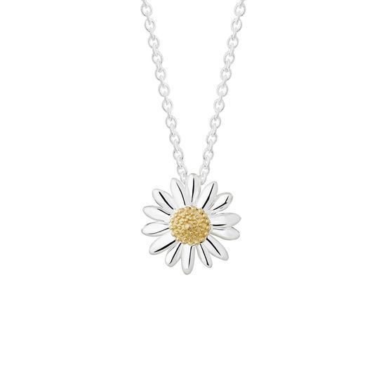Daisy 925纯银18K镀金 12mm小雏菊吊坠项链(亚马逊进口直采 英国品牌)活动价520元