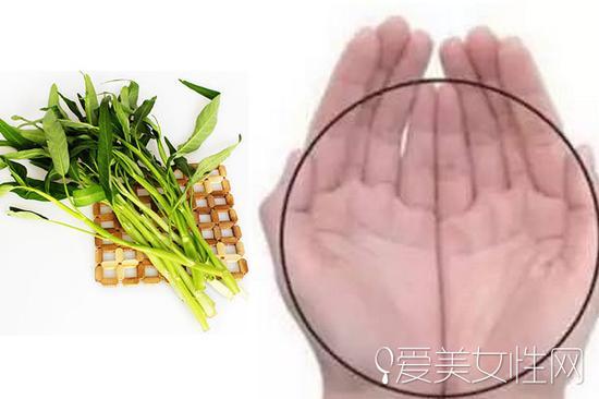 一捧的蔬菜
