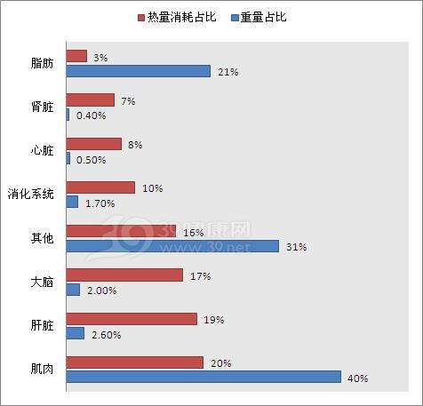 一个正常成年人(年轻女性)身体各器官组织基础代谢热量的占比
