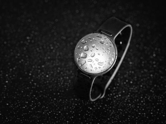 全新Misfit Speedo Shine 2