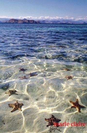 海洋元素