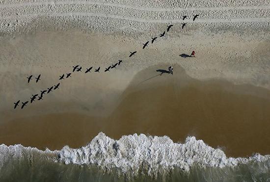 图片来源:Ricardo Moraes/Reuters