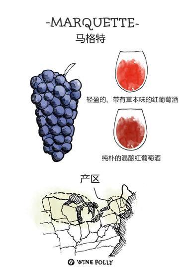 图片来源:Wine Folly