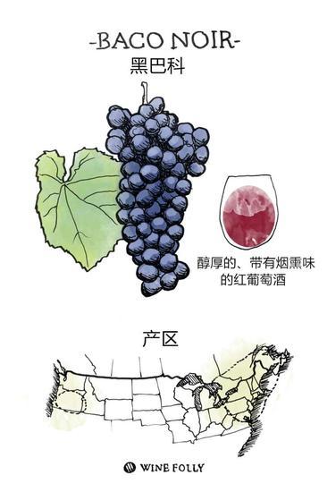 图片来源:Wine Folly