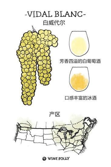 图片来源:Wine Folly