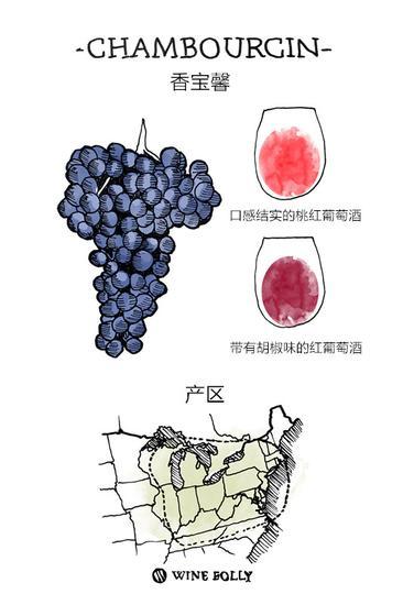 图片来源:Wine Folly