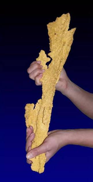 矿物晶体——世界最长的自然金“霹雳王”(Gold)