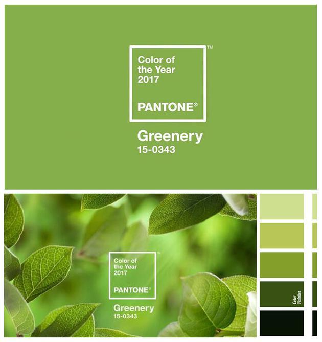 2017年的流行色:Greenery“草木绿”