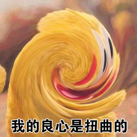 我的良心是扭曲的