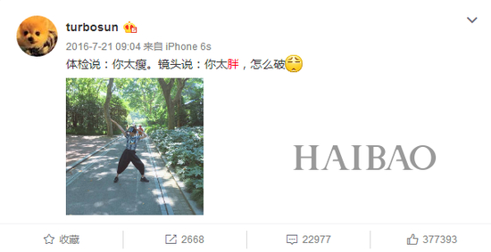 孙俪微博截图