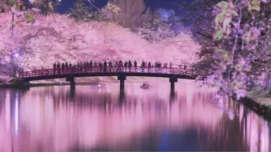 ▲新晋的刷签地——青森县弘前公园,图自@KingdomDevo