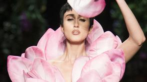 荷花仙子：Moschino