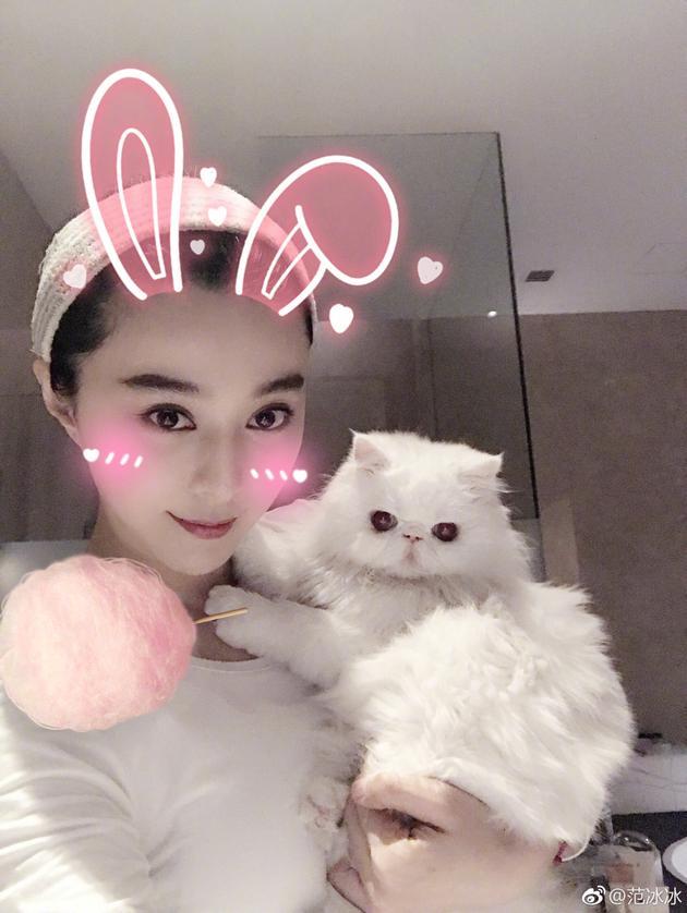 范冰冰抱猫自拍