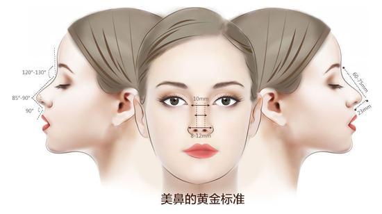 鼻部美学标准