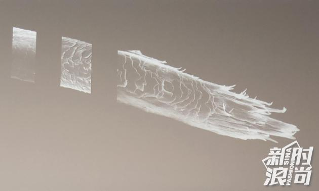 受损头发表层毛鳞片逐渐脱落