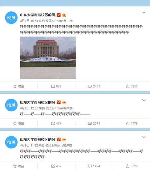 山东大学青岛校区的风的微博