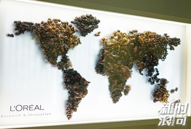 巴黎欧莱雅科研中心全球发色分布示意图