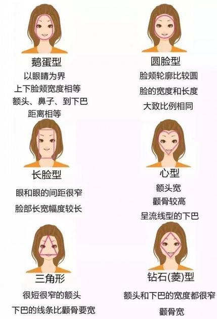 各种脸型