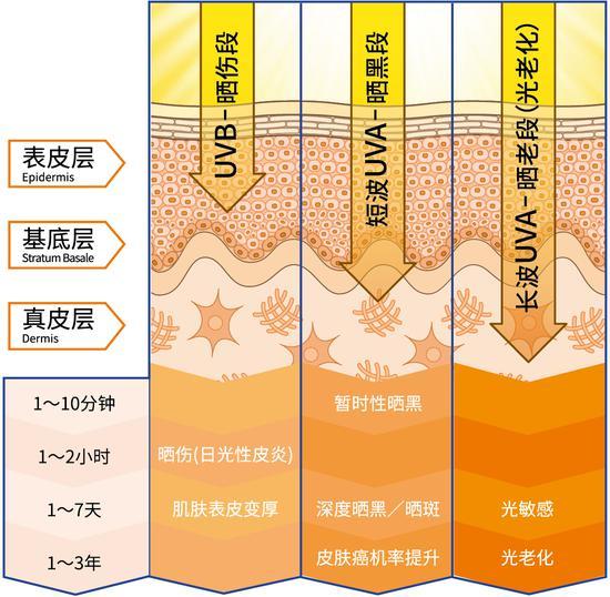 短时间内的暴晒不仅会让肌肤晒伤,也会让肌肤在短短几分钟内晒黑