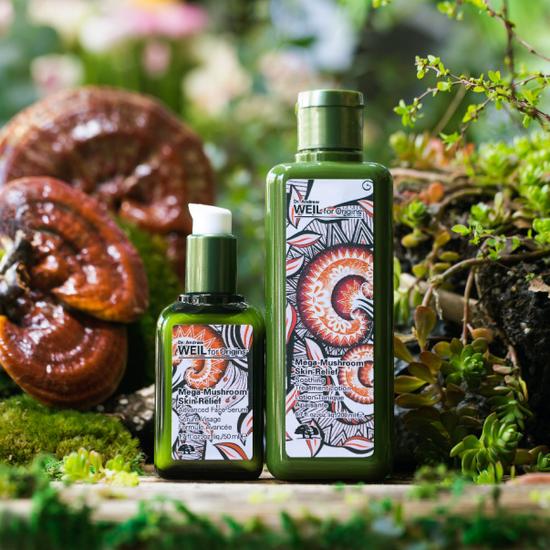 Origins悦木之源韦博士灵芝焕能精华水(限量版) (320元/200ml)