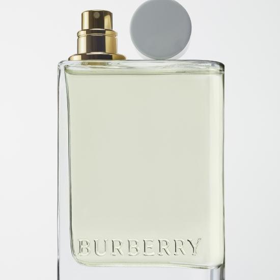Burberry花与她果漾淡香水 创意图