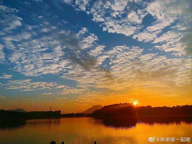 图片来源:微博@胖嘟嘟一起嘟