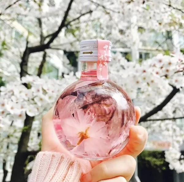 奈良原装金箔樱花酒