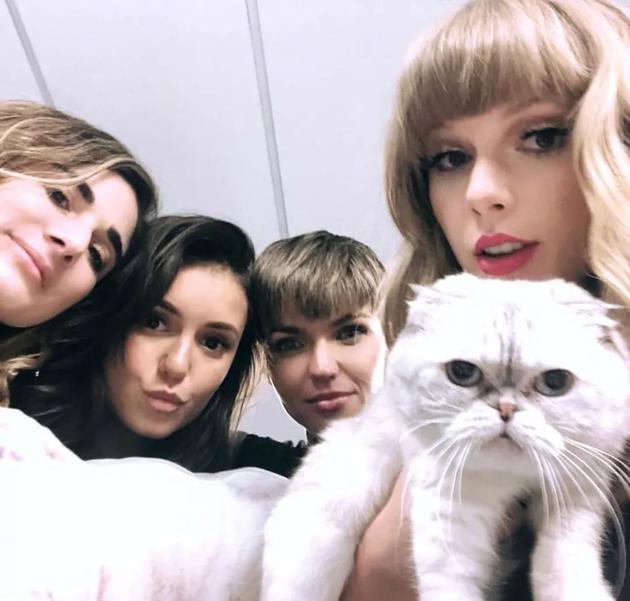 Taylor Swift和朋友们合照