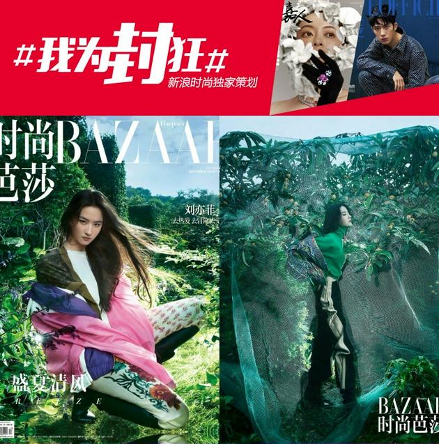 刘亦菲