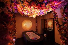 艺术家刘亚作品《镜花水月》