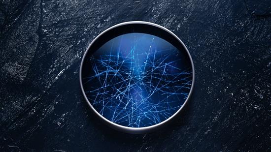 Life PlanktonTM Probiotic Fraction益生微生物发酵物