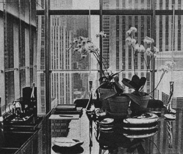 1978年,Halston所在办公室一角