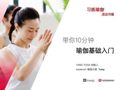 YANG 瑜伽基础入门