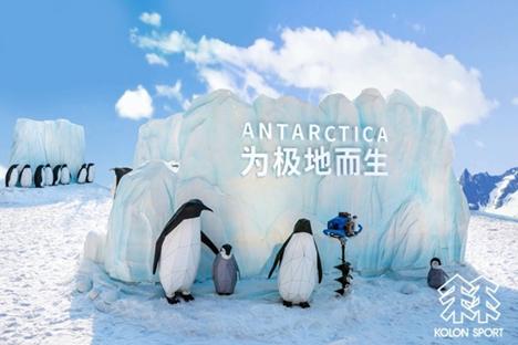 (可隆沉浸式极地体验展 全景)