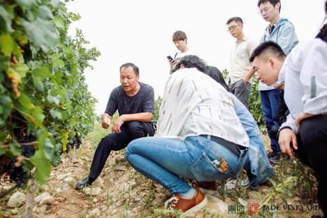 嘉地酒园聘请宁夏首席种植专家张国庆为种植顾问