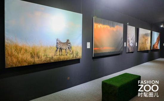 FASHION ZOO 2020, EYE.SEE