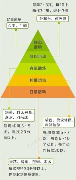 日常运动量结构图