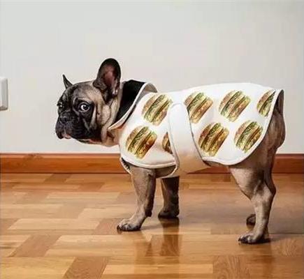狗狗服装