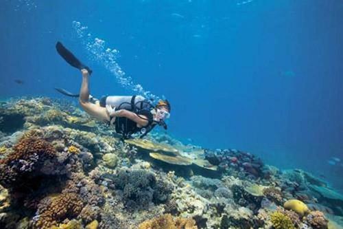 户外蜜月旅游目的地推荐 冒险刺激的新婚之旅