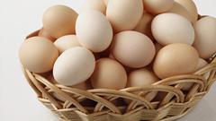 湖北荷香：全产业链套保 为蛋鸡养殖产业搭建“安全屋”