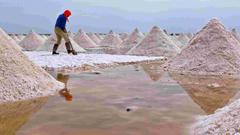 专家评盐改方案：垄断被打破 跨区域用盐被罚将成历史