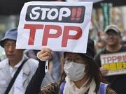 美国退出后的TPP面临解体 日本或将被迫调整战术