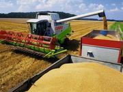 农业供给侧改革蓄势：市场化改革引导产业调整