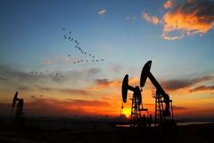 期市大面积收涨：原油、豆二、甲醇涨逾2% 沪铜涨近1%