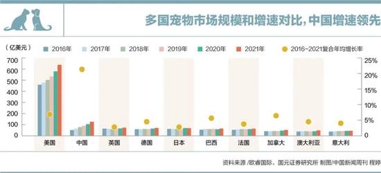 人们正在用宠物取代孩子，宠物为什么这么火