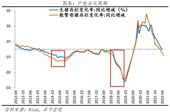 任泽平：当前或已进入新一轮猪周期的筑底上行期，未来涨幅取决于产能去化程度