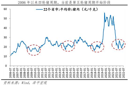 任泽平：当前或已进入新一轮猪周期的筑底上行期，未来涨幅取决于产能去化程度