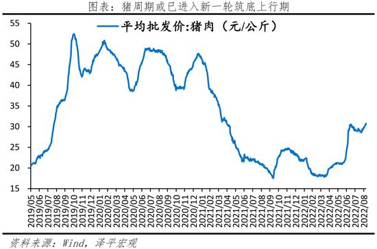 任泽平：当前经济形势和政策展望