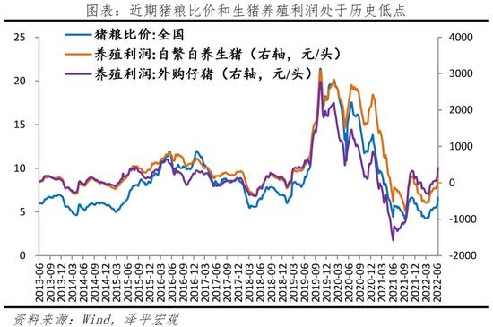 任泽平：当前或已进入新一轮猪周期的筑底上行期，未来涨幅取决于产能去化程度